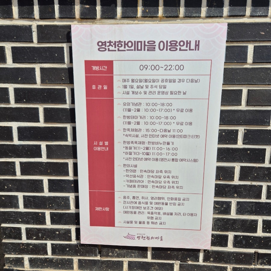 다트나인 사진 2