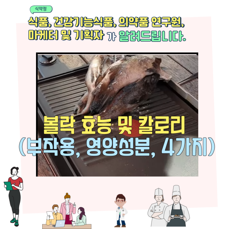  볼락 효능 및 칼로리 (부작용, 영양성분, 4가지)