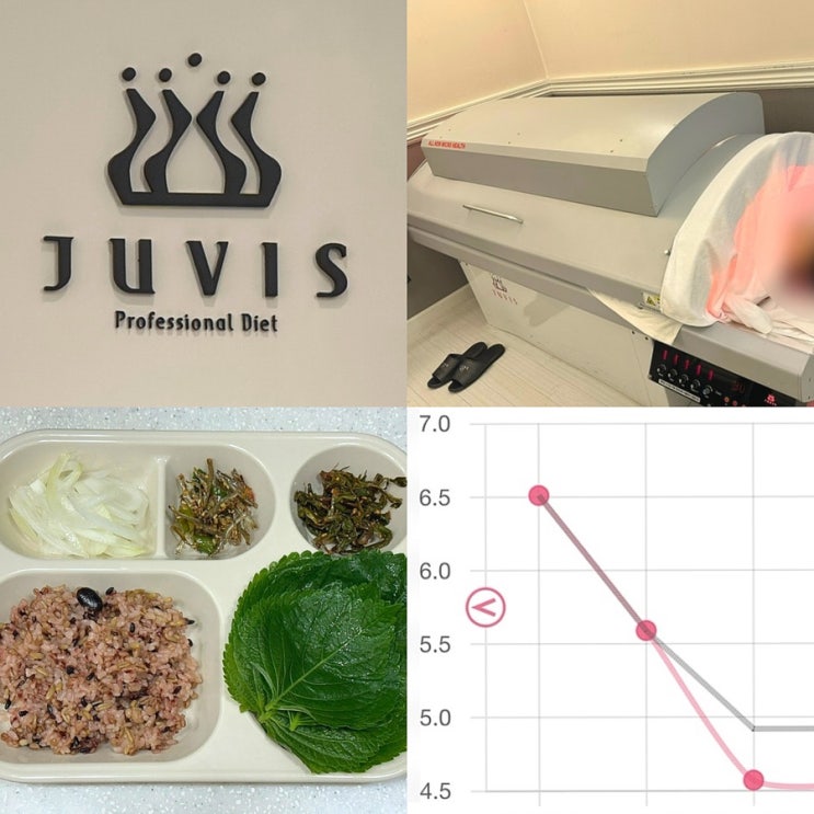  연예인 쥬비스 다이어트 비용 가격 기계 방법 식단 효과 1주차 체중 감량 솔직후기 지점 쥬비스 부천점
