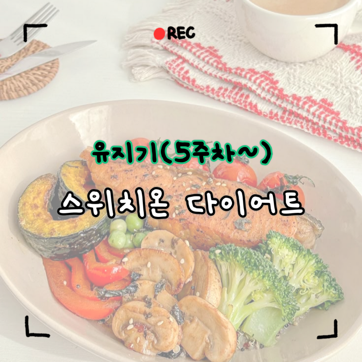  <스위치온 다이어트> 5주차~ 유지기 방법 총정리