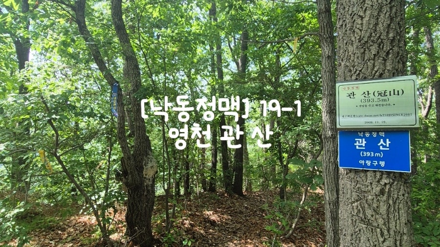 감탄지 사진 3