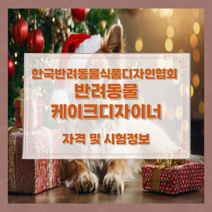 한국반려동물식품디자인협회 반려동물케이크디자이너 자격 및 시험정보 한국반려동물식품디자인협회 반려동물케이크디자이너 자격 및 시험정보