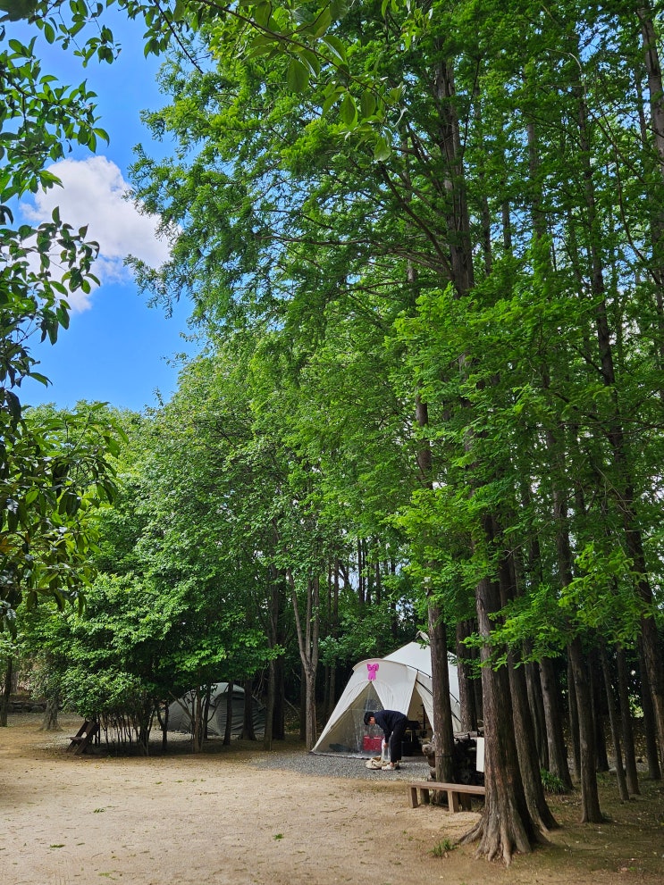  포항 근교 경주 캠핑장 추천 '무릉관광농원' 사이트 정보 및 부대시설, 내돈내산 후기