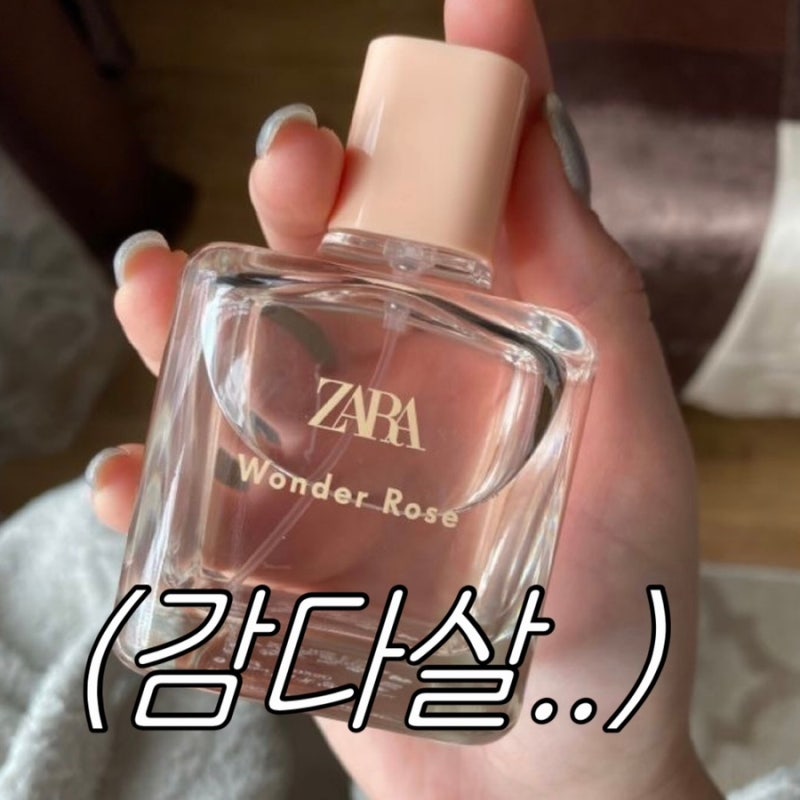 흔치 않은 감다살 자라 매장 향수 BEST2