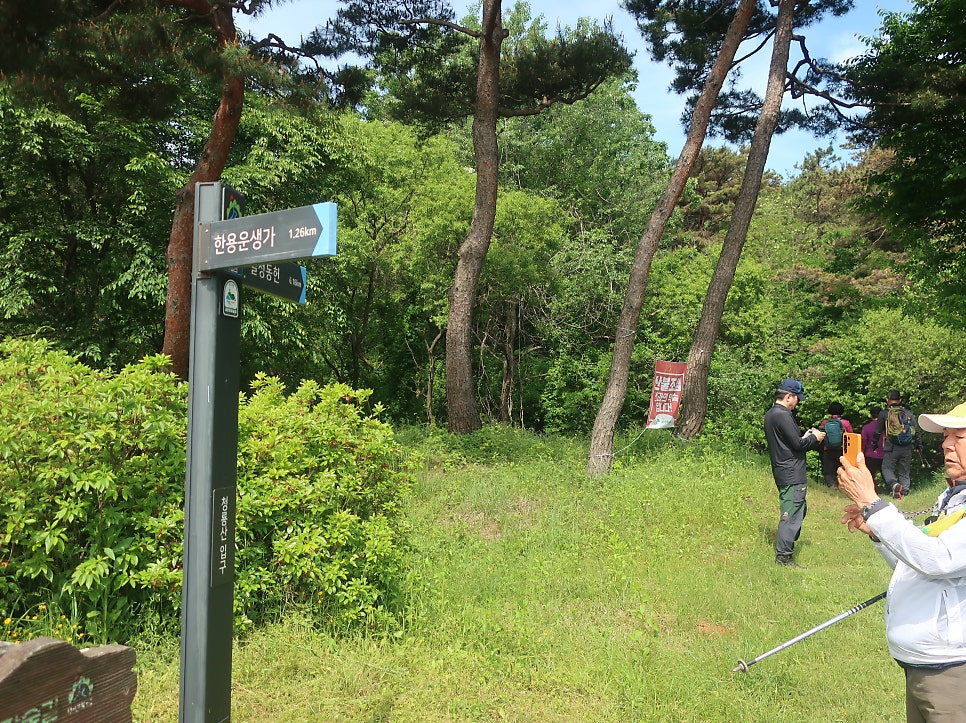 왕자산 사진 5