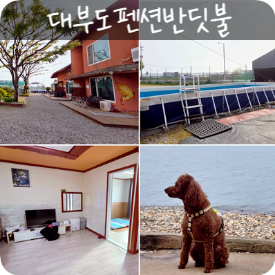 사진 4