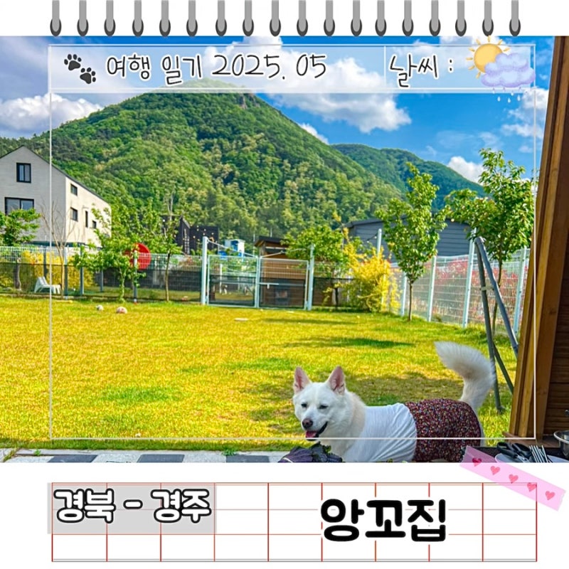 사진 2