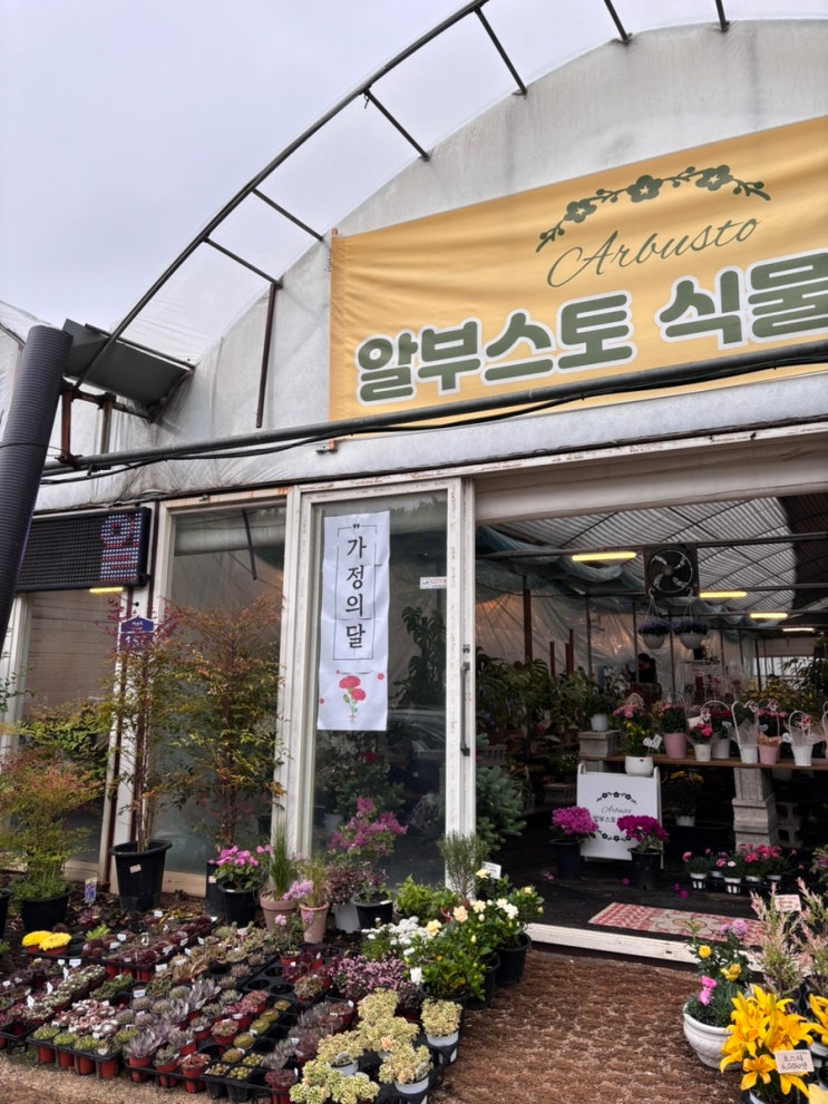  가정동 알부스토식물가게에서 초록이 쇼핑 제대로!