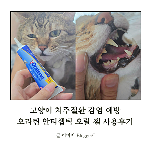 고양이 치주염 치은염 예방 오라틴 안티셉틱 오랄 젤