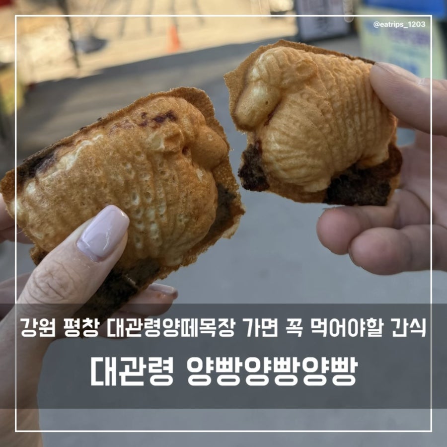 대관령양빵양빵양빵 사진 1
