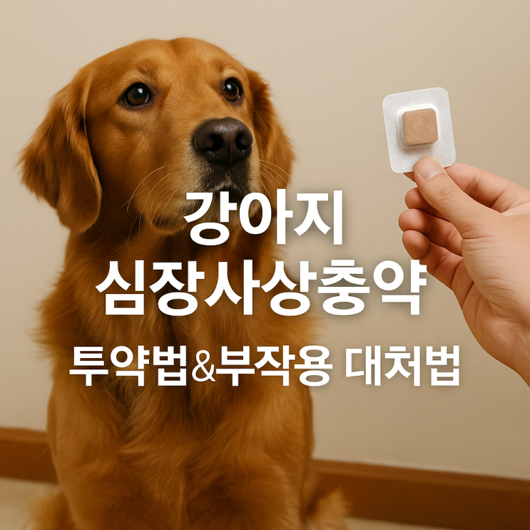  강아지 심장사상충약 올바른 투약법 Q&A - 부작용 대처법