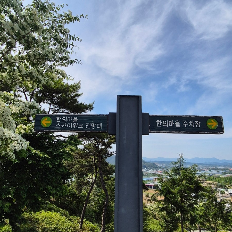 다트나인 사진 5