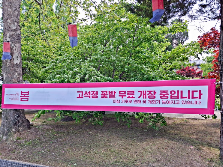  철원 고석정 꽃밭 축제 2025 무료입장 후기