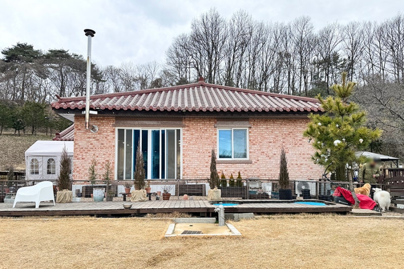 사진 5