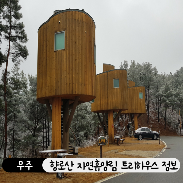  무주 여행 숙소 추천 자연휴양림 트리하우스 구조, 가격, 위치, 예약방법까지