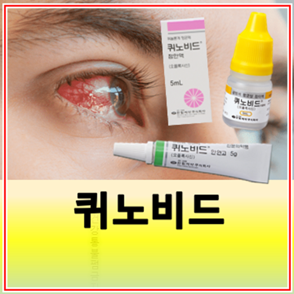 퀴노비드 안연고 점안액 이용액 성분 효능 부작용