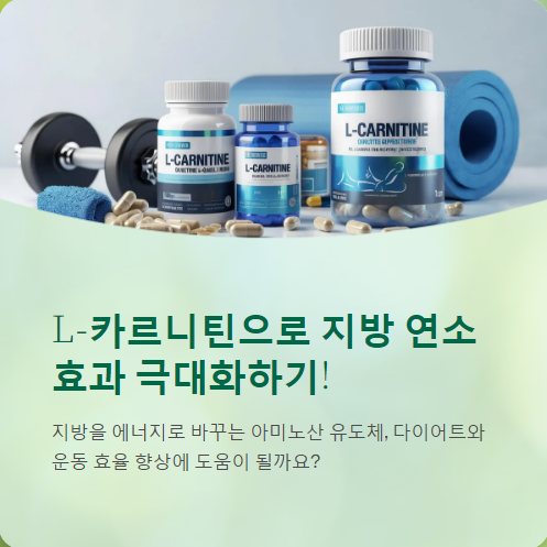  L-카르니틴(L-Carnitine) 효과, 가격, 복용법, 후기까지!!