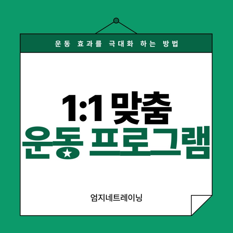  장항동pt에서 운동 효과를 극대화하는 개인 맞춤 프로그램의 중요성
