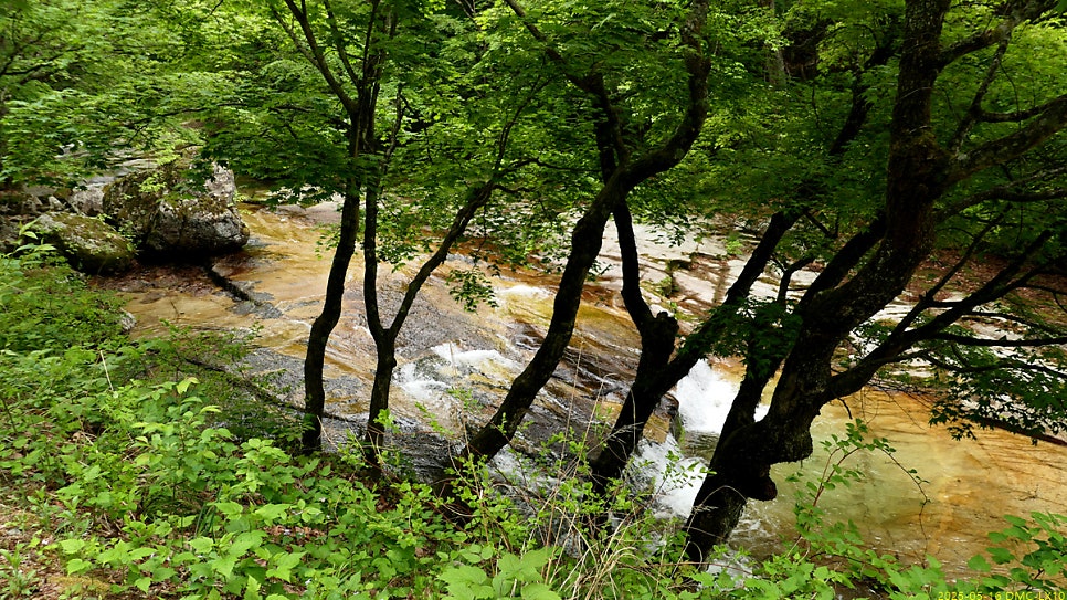 지당골 사진 4