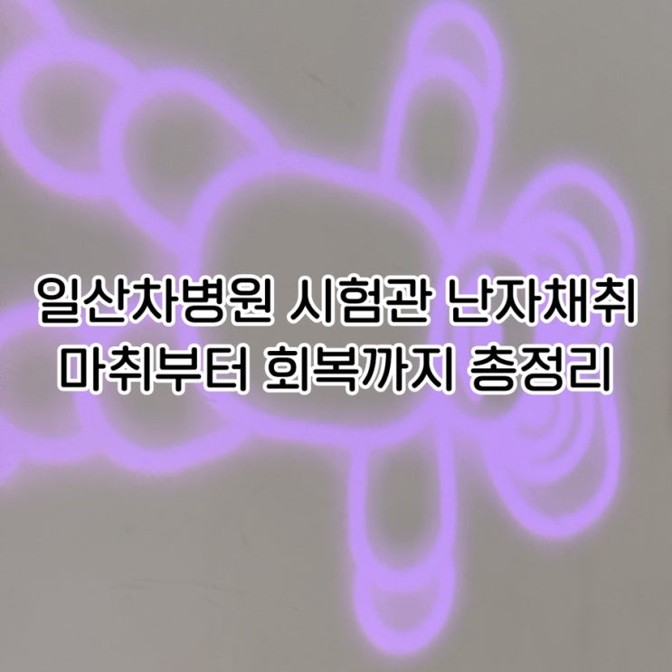  일산차병원 시험관 1차｜난자채취 당일 후기 & 마취·수액·회복과정 총정리