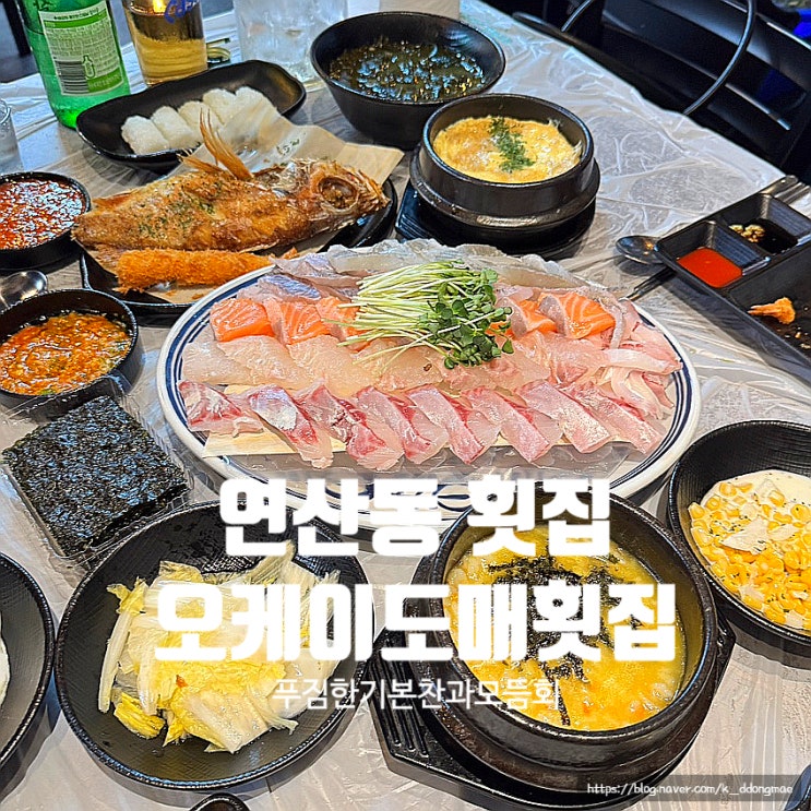  연산동횟집'오케이도매횟집 연산점' 푸짐한 상차림에 쫄깃한 모듬회
