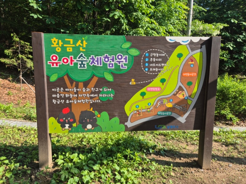 남양주 황금산 유아숲 체험원 숲 놀이터 후기
