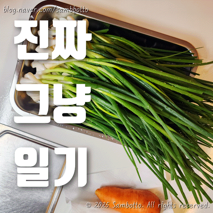  진짜 그냥 일기 | 월요일이란...!, 아침 루틴, 다이소 쪽파 용기 드디어 써봄 + 끝나지않는 쪽파지옥