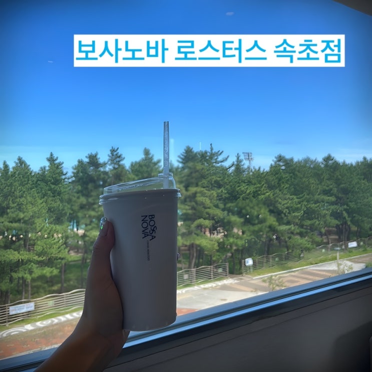  [속초 보사노바 로스터스카페] 애견동반이 가능한 커피 맛이 맛있는 오션뷰 맛집!!
