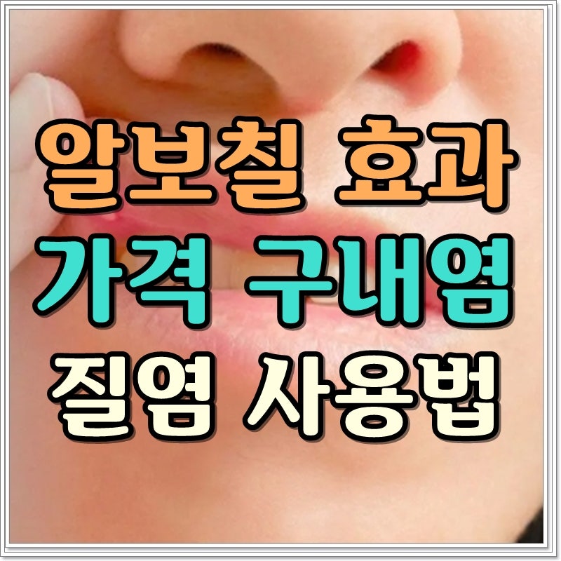 알보칠 효과 가격 구내염 질염 사용법