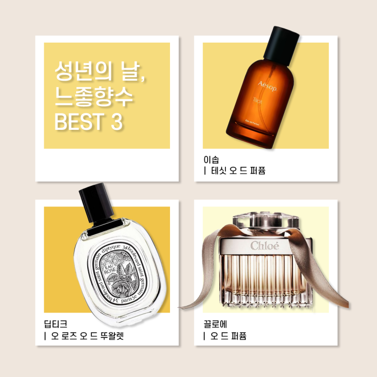 2025 성년의날 느좋 향수 BEST 3