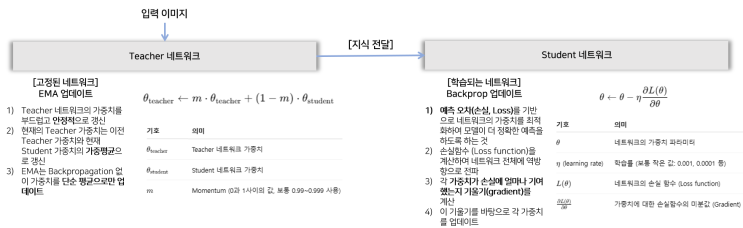  [용어정리] DINO 모델 (Self-DIstillatioN with NO labels)