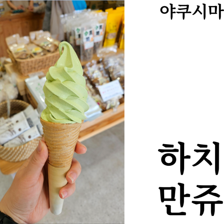  [웰니스여행/야쿠시마]녹차아이스크림맛집 야쿠시마산 녹차전문점 하치만쥬 기념품 추천