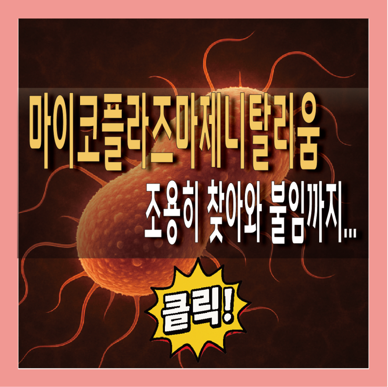 마이코플라즈마제니탈리움 증상, 원인, 잠복기 총정리