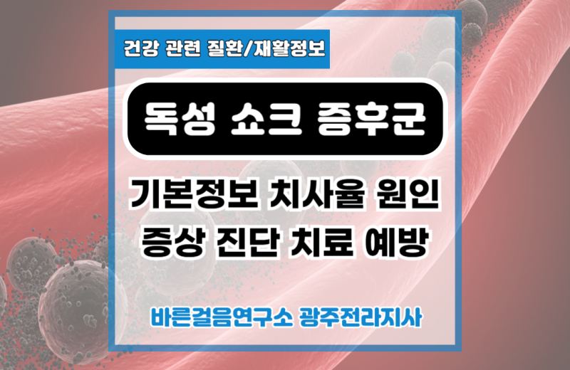 독성 쇼크 증후군 기본정보, 원인, 증상, 치사율, 진단, 치료, 예방