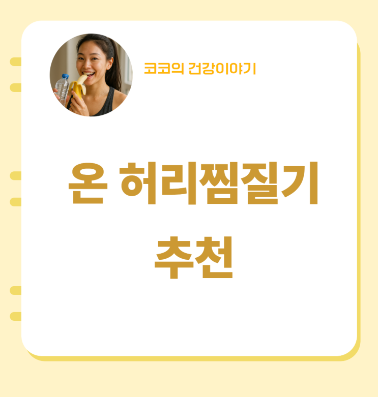  온 허리찜질기 추천