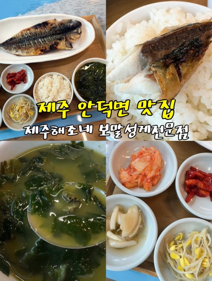  제주 안덕면 맛집 제주 해조네 제주 향토 음식 보말 성게 전문점 아침식사 가능