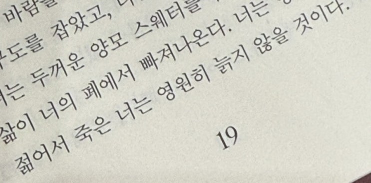  [일상] 대충 뭐 잘 먹고 잘 놀고