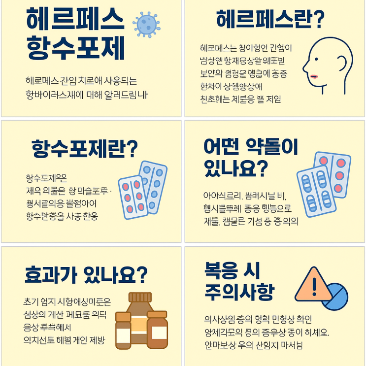  헤르페스 항수포제란? 증상 완화와 재발 억제를 위한 핵심 관리법