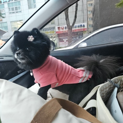 사진 2