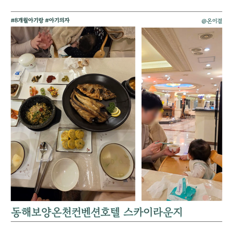 동해보양온천컨벤션호텔 스카이라운지 디너 아기랑 가족여행 생선구이정식 곤드레돌솥비빔밥 옥수수막걸리