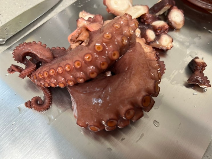  제주 애월 맛집 애월제주다 돌문어장 택배로 받아 본 후기