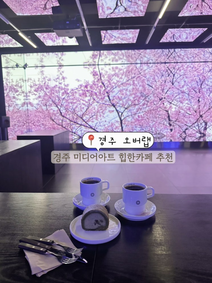  경주 여행코스 추천 미디어아트 이색 카페 경주 황리단길 핫플 카페 오버랩