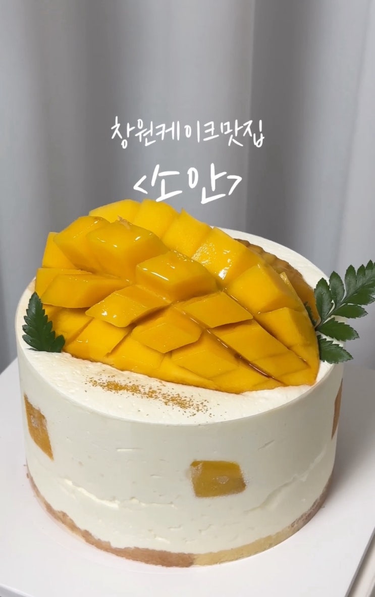 창원케이크맛집. 결혼기념일, 생일 겸 창원디저트맛집에서 생망고케이크 주문 : 소안