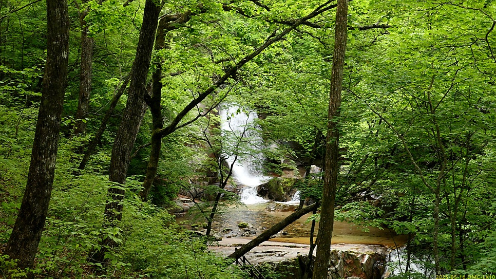 지당골 사진 5