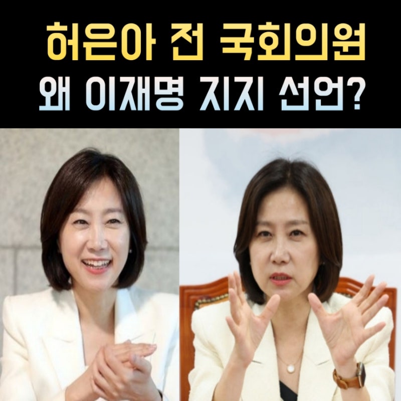허은아 프로필, 나이 고향 학력 재산 정치경력