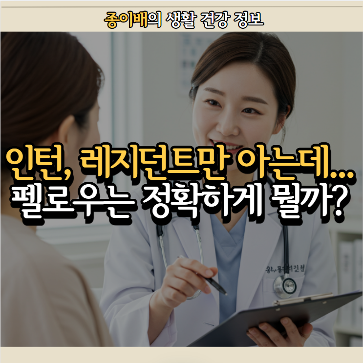  펠로우? 인턴, 레지던트만 아는데... 정확한 차이는 뭘까?