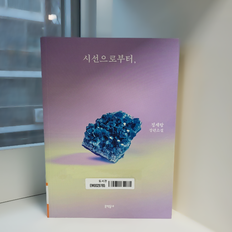  정세랑 작가님 『시선으로부터,』 도서 리뷰_그녀를 기억하는 방식