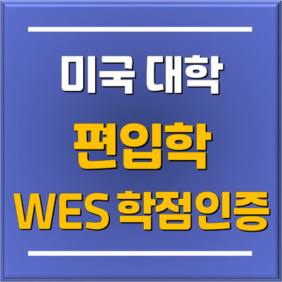 분당 토리쌤이 알려주는 미국 편입학 지원 시 성적확인 성적증명서 제출방법, WES 인증 / 분당판교유학원