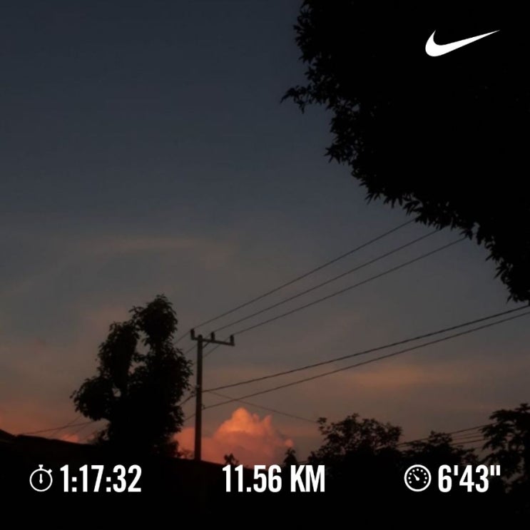 매일 10km 러닝 챌린지 1379일 차