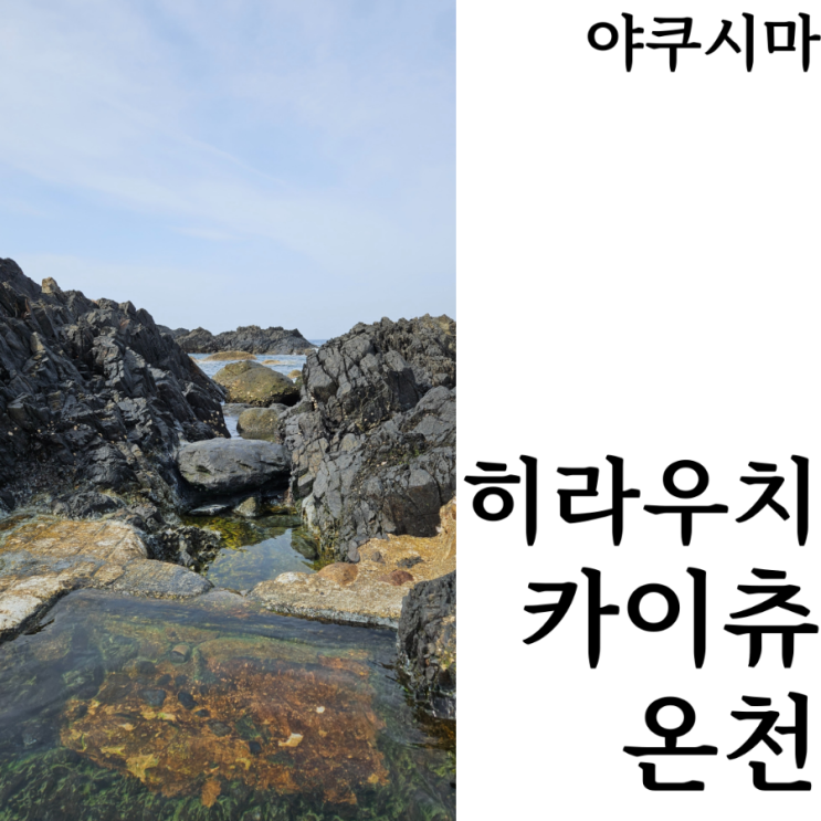  [웰니스여행/야쿠시마]추천코스 간조때만 열리는 해중온천 히라우치 카이츄 온센(平内海中温泉)